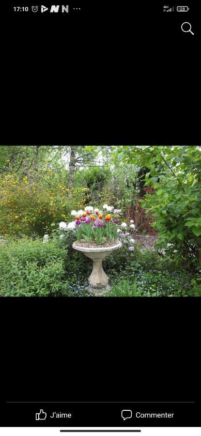 Petit Coin De Paradis Fontaine-les-Luxeuil Exterior foto
